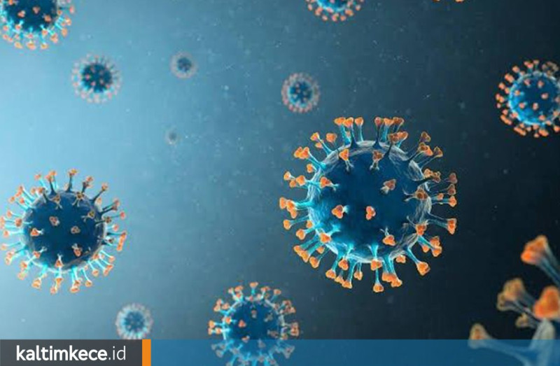 Ilustrasi virus SARS-Cov-2