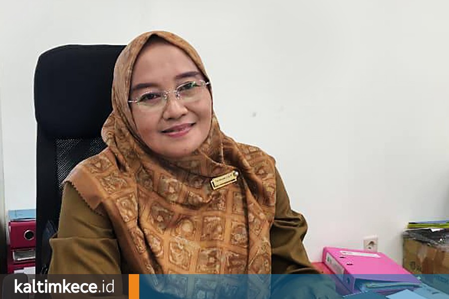 Kepala Bidang Kesehatan Jiwa Dinkes Berau Nurhayati. FOTO: MARTA-KALTIMKECE.ID