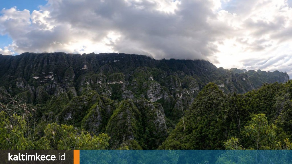 Karst Sangkulirang-Mangkalihat, Kalimantan Timur, memiliki luas sekitar 22 ribu kilometer persegi. Banyak keanekaragaman hayati di dalamnya. FOTO: ISTIMEWA